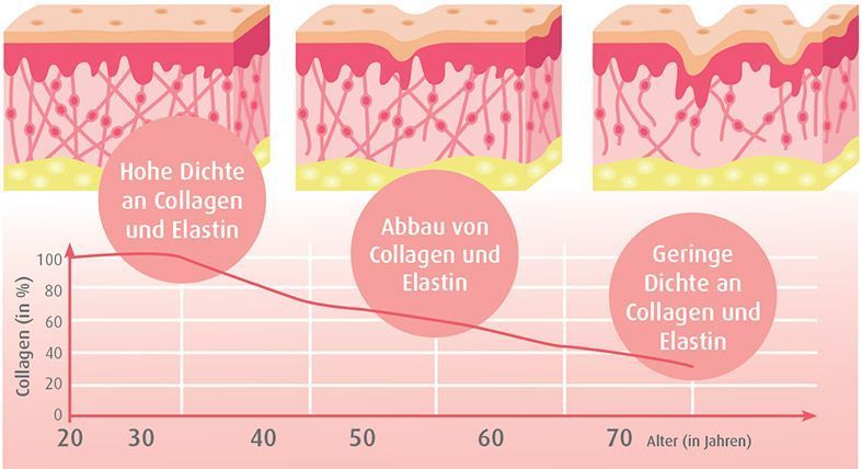 Collagen – Das Geheimnis schöner Haut dank BeautyLight